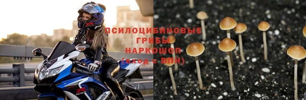 тгк Краснотурьинск