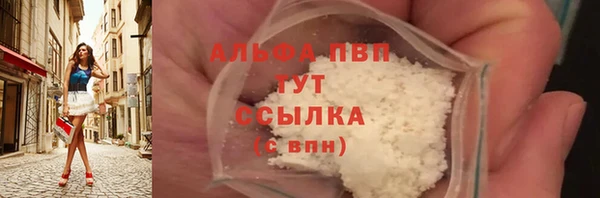 мдпв Краснослободск