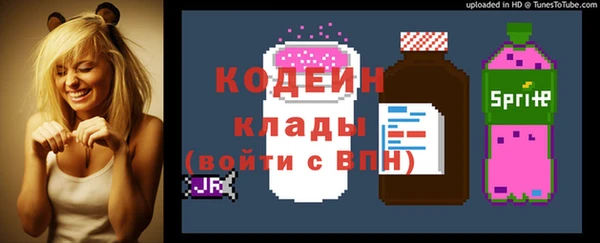 мдпв Краснослободск
