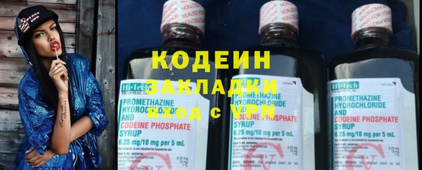 мдпв Краснослободск