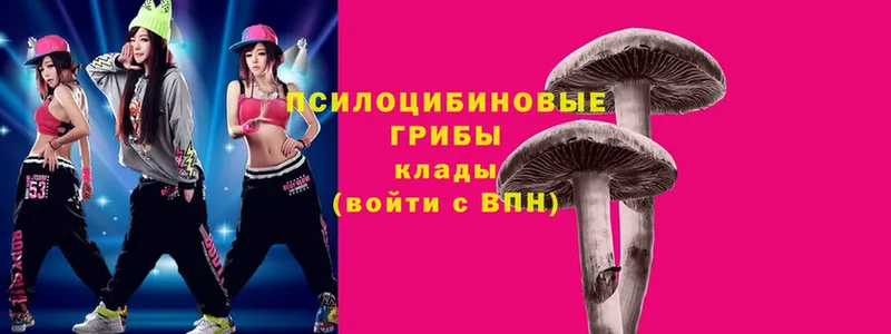 Галлюциногенные грибы Magic Shrooms  omg как зайти  Карачаевск 