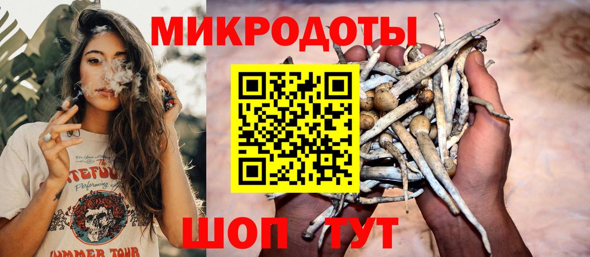 Псилоцибиновые грибы GOLDEN TEACHER Карачаевск