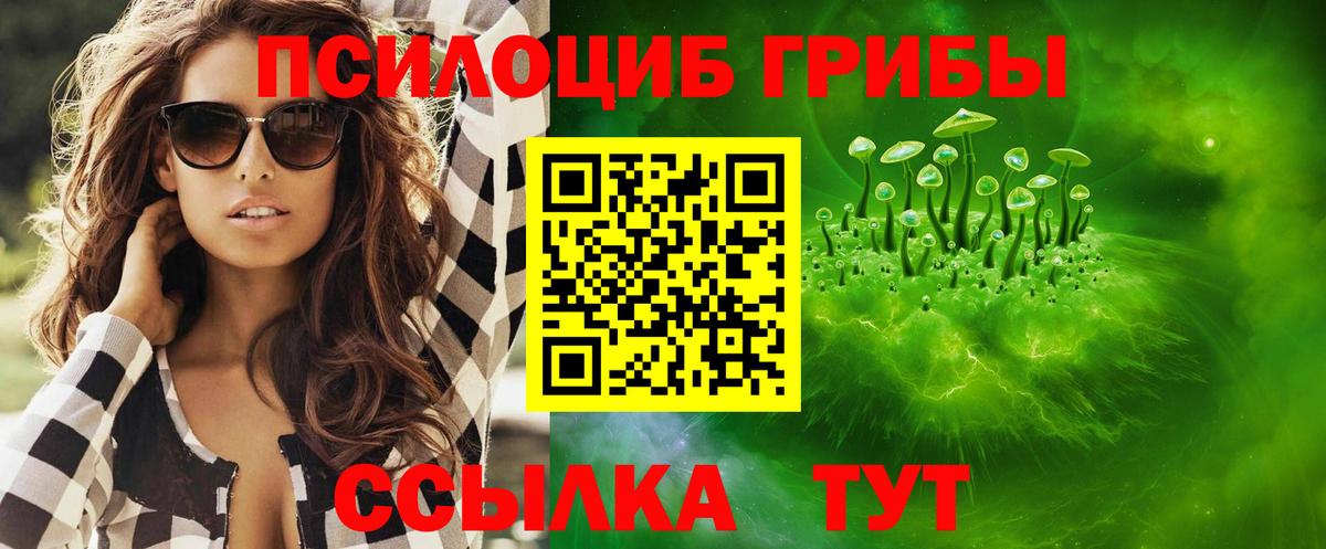 Псилоцибиновые грибы Psilocybe Карачаевск