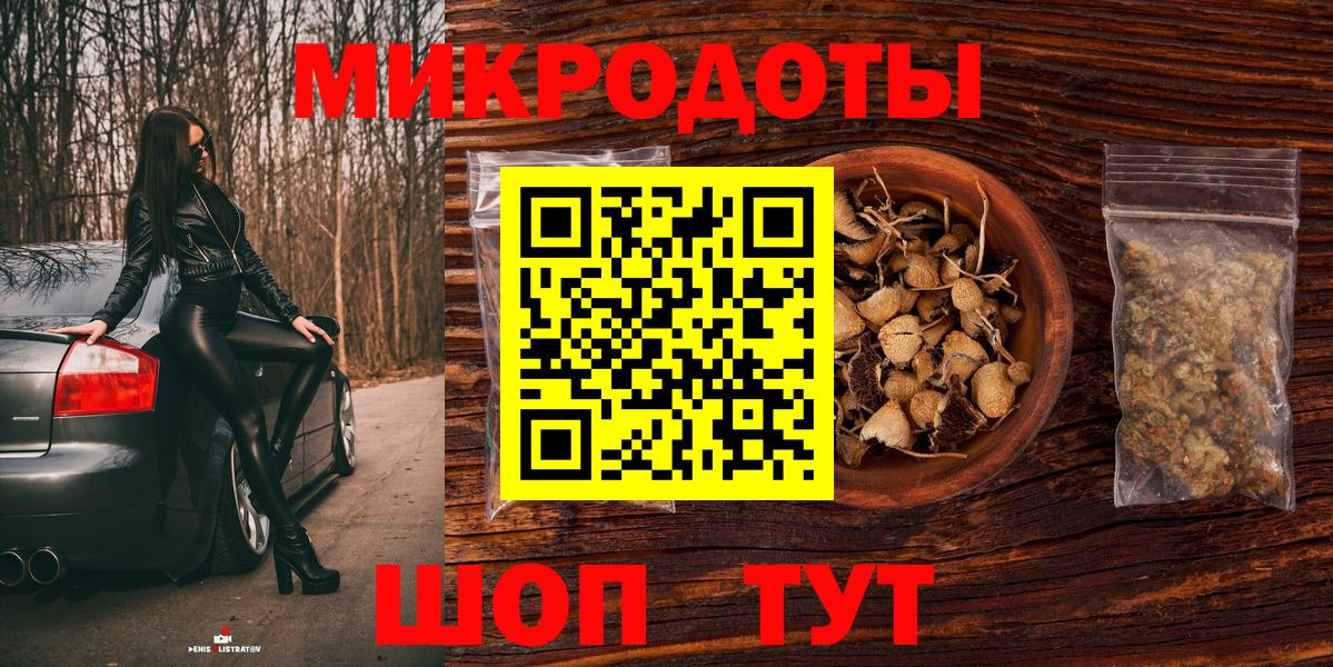 Галлюциногенные грибы MAGIC MUSHROOMS  Вход с VPN  где купить наркотик  Карачаевск 